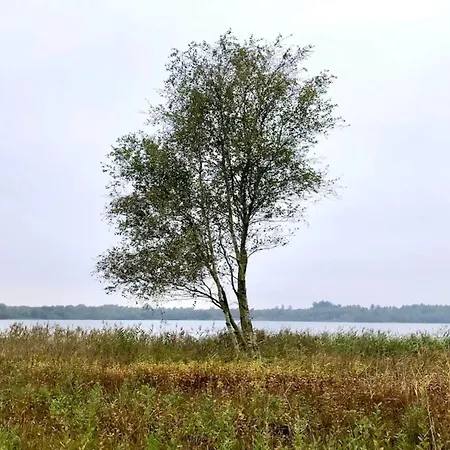 5 Person In Ansager-by Traum *