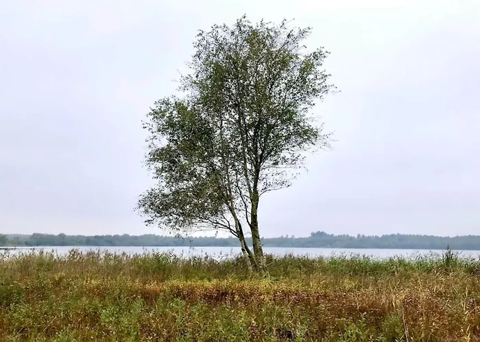 5 Person In Ansager-by Traum * Ansager