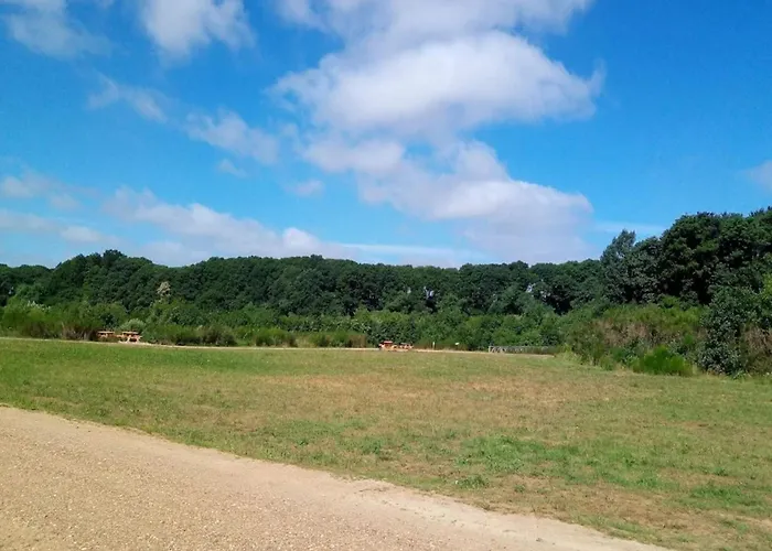 5 Person In Ansager-by Traum *