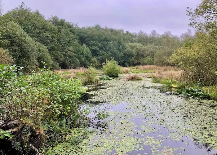 Ferienhaus 5 Person In Ansager-by Traum *