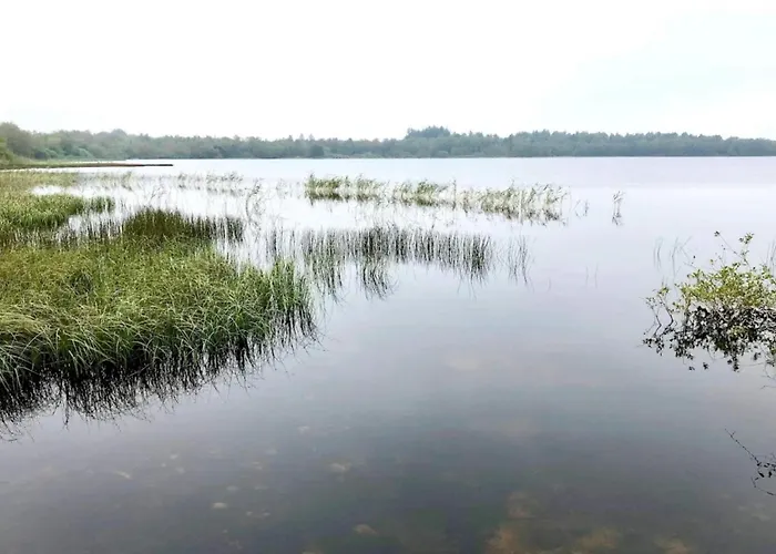 5 Person In Ansager-by Traum *