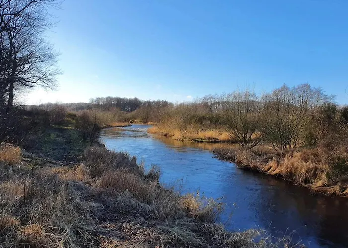 5 Person In Ansager-by Traum Ansager