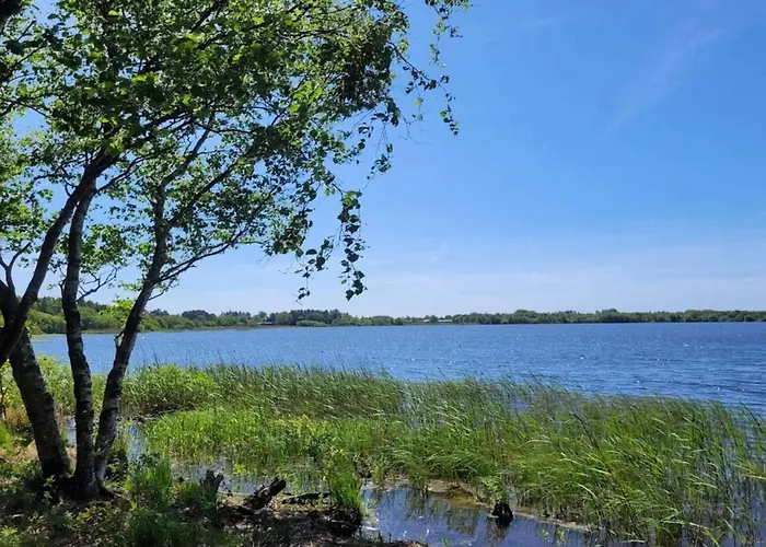 5 Person In Ansager-by Traum * Ansager