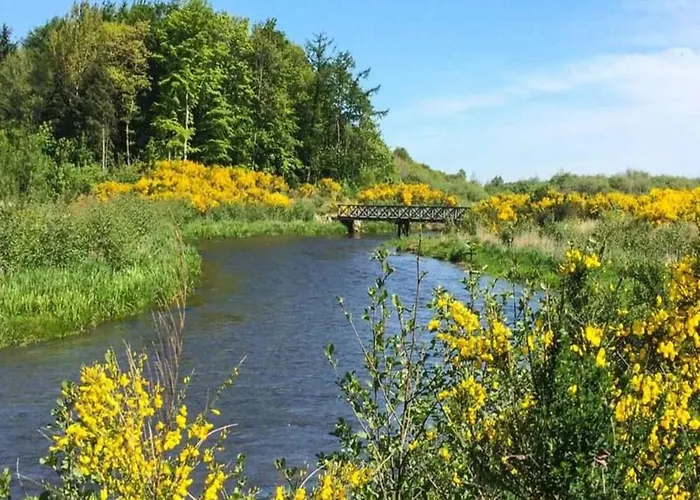 5 Person In Ansager-by Traum * Ansager